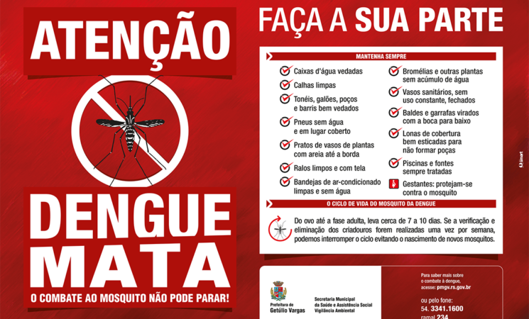 Cuidados com a Dengue