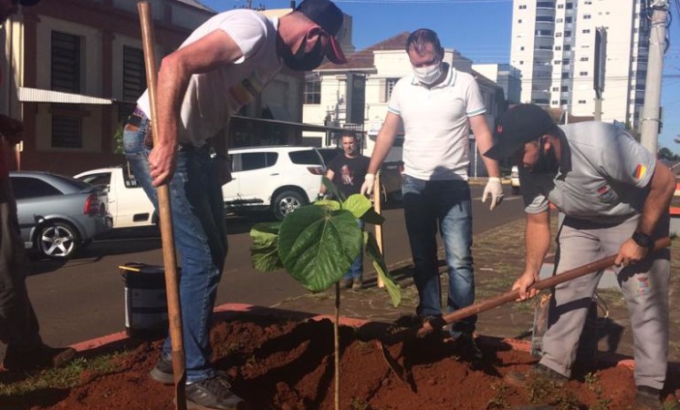 Mais de 100 mudas de árvores estão sendo plantadas em Getúlio Vargas
