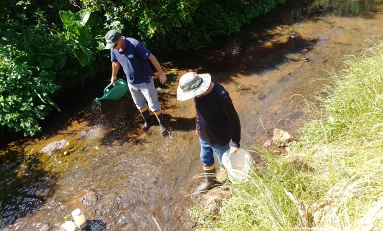 Secretaria Municipal de Saúde e Assistência Social inicia aplicação do BTI para controle do mosquito borrachudo