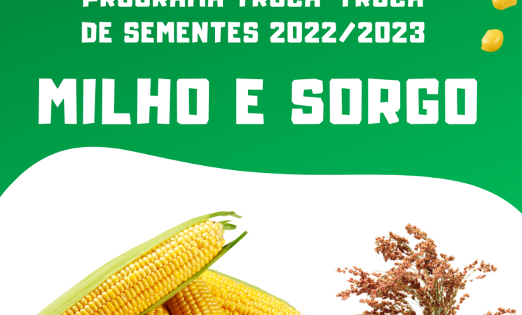 Programa Troca-troca de Sementes - 2022/2023:iniciada a retirada de sementes de milho e sorgo