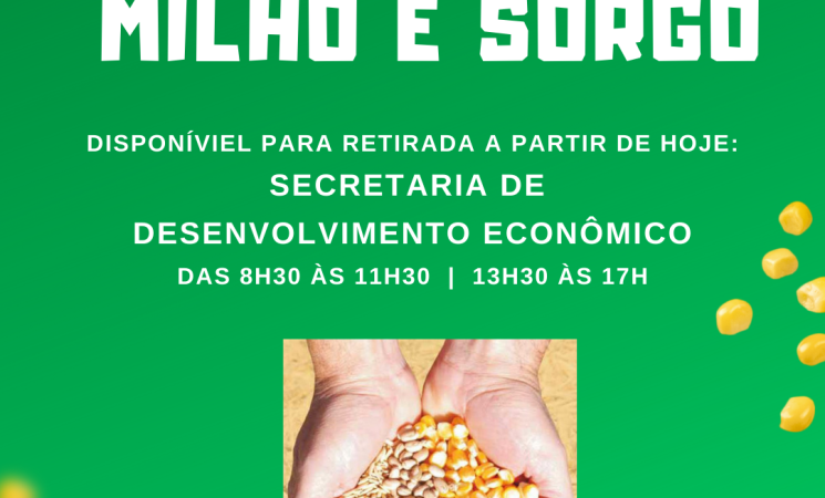Sementes de milho e sorgo para Safra 2025/2026 já estão disponíveis para retirada