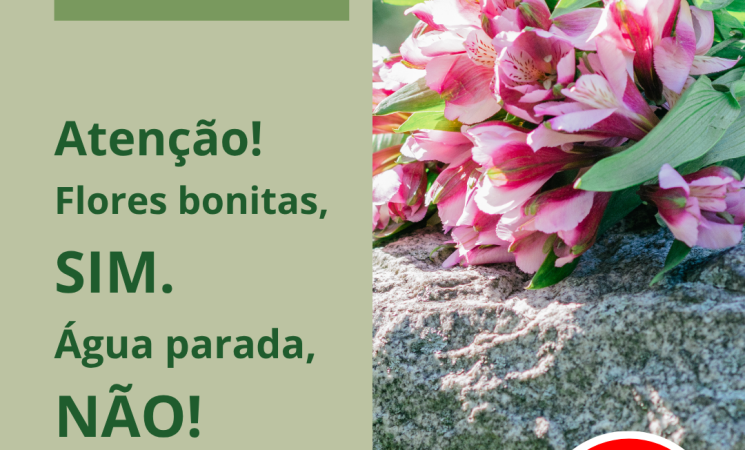 Campanha alerta sobre cuidados no Cemitério para evitar criadouros do Aedes aegypti no período de Finados