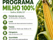Getúlio Vargas abre período de reservas do Programa Milho 100% – Safra 2026/27