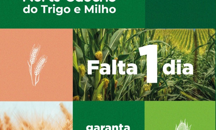 XI Fórum Norte Gaúcho do Trigo e Milho destacam a importância da cultura do agronegócio gaúcho